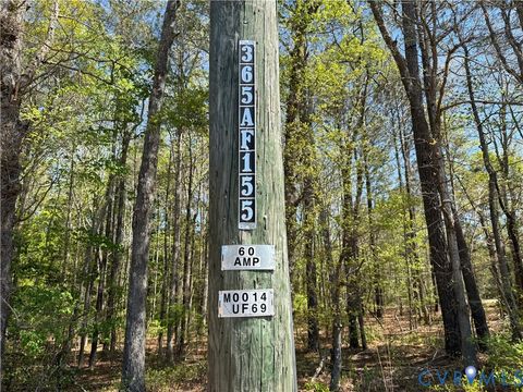 Tiny photo for TBD Blue Star Highway, Jarratt, VA 23887 (MLS # 2611508)