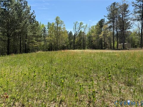 Tiny photo for TBD Blue Star Highway, Jarratt, VA 23887 (MLS # 2611508)
