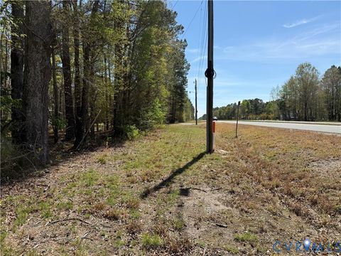 Tiny photo for TBD Blue Star Highway, Jarratt, VA 23887 (MLS # 2611508)