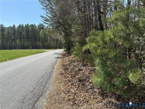 Tiny photo for TBD Blue Star Highway, Jarratt, VA 23887 (MLS # 2611508)