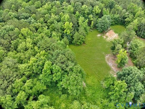 Tiny photo for TBD Blue Star Highway, Jarratt, VA 23887 (MLS # 2611508)