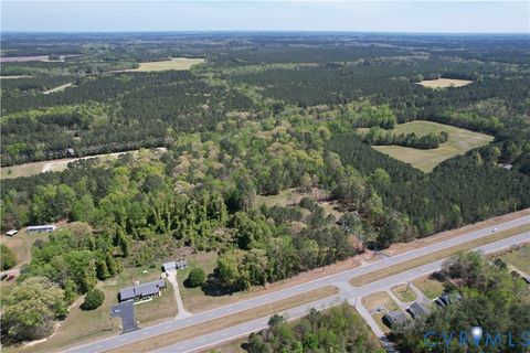 Tiny photo for TBD Blue Star Highway, Jarratt, VA 23887 (MLS # 2611508)
