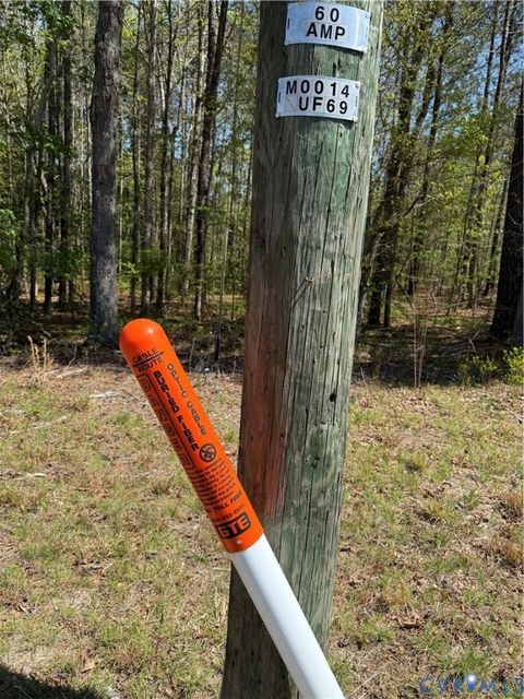 Tiny photo for TBD Blue Star Highway, Jarratt, VA 23887 (MLS # 2611508)