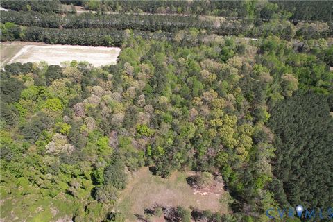 Tiny photo for TBD Blue Star Highway, Jarratt, VA 23887 (MLS # 2611508)