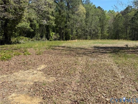 Tiny photo for TBD Blue Star Highway, Jarratt, VA 23887 (MLS # 2611508)