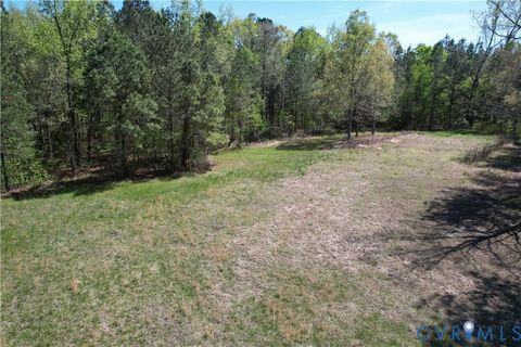 Tiny photo for TBD Blue Star Highway, Jarratt, VA 23887 (MLS # 2611508)