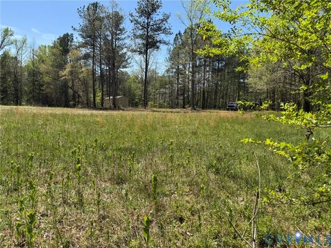 Tiny photo for TBD Blue Star Highway, Jarratt, VA 23887 (MLS # 2611508)