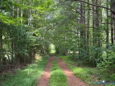 Photo of 0 Pinegrove Road, Cumberland, VA 23139 (MLS # 2616900)