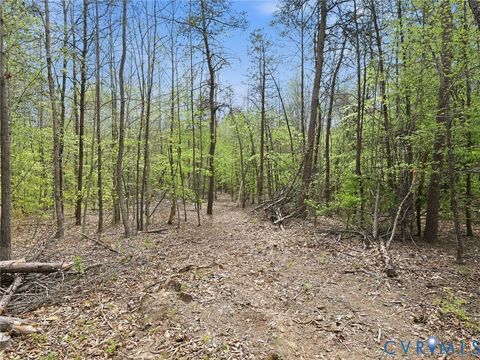 Tiny photo for 2210 Harts Mill Road, Mineral, VA 23117 (MLS # 2609671)