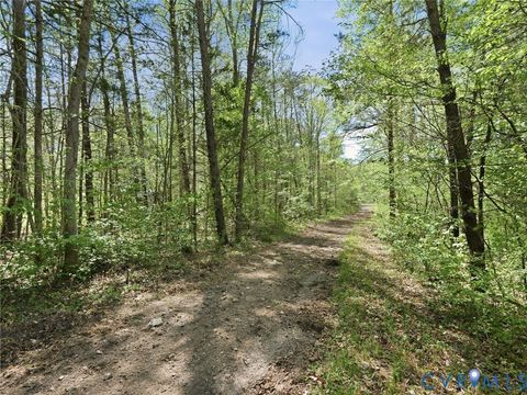 Tiny photo for 2210 Harts Mill Road, Mineral, VA 23117 (MLS # 2609671)