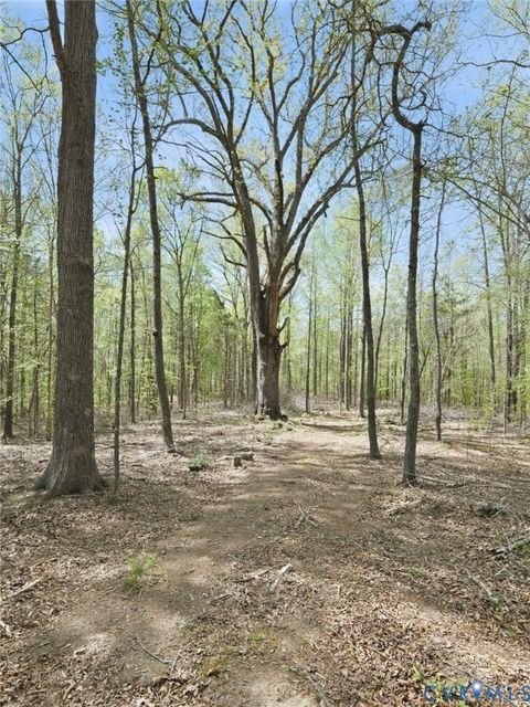 Tiny photo for 2210 Harts Mill Road, Mineral, VA 23117 (MLS # 2609671)