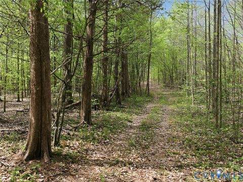 Tiny photo for 2210 Harts Mill Road, Mineral, VA 23117 (MLS # 2609671)