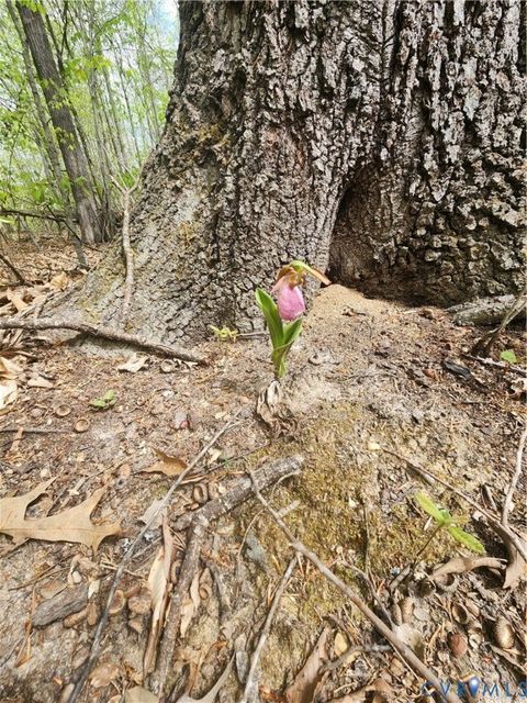 Tiny photo for 2210 Harts Mill Road, Mineral, VA 23117 (MLS # 2609671)