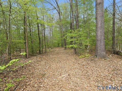 Tiny photo for 2210 Harts Mill Road, Mineral, VA 23117 (MLS # 2609671)