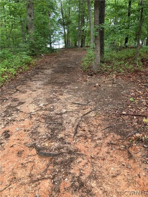 Tiny photo for 00 Blackwell Road, Buckingham, VA 24590 (MLS # 2418246)