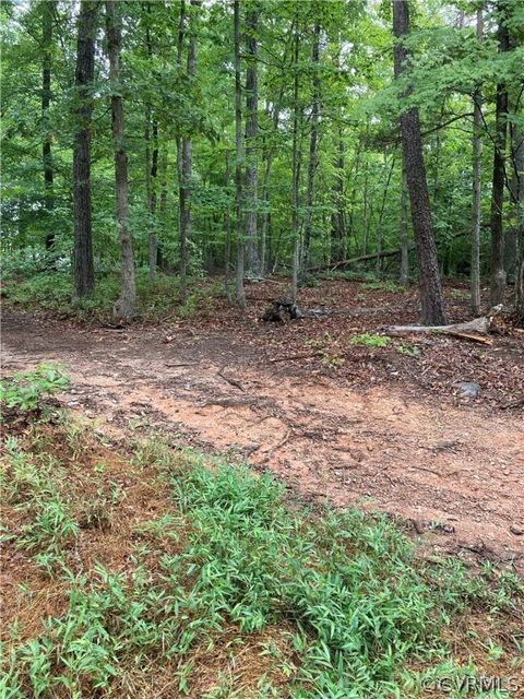 Tiny photo for 00 Blackwell Road, Buckingham, VA 24590 (MLS # 2418246)