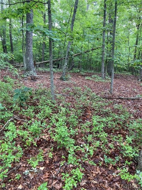 Tiny photo for 00 Blackwell Road, Buckingham, VA 24590 (MLS # 2418246)