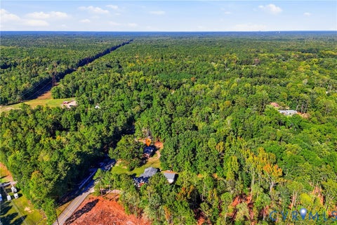Tiny photo for 11711 Second Branch Road, Chesterfield, VA 23838 (MLS # 2627874)