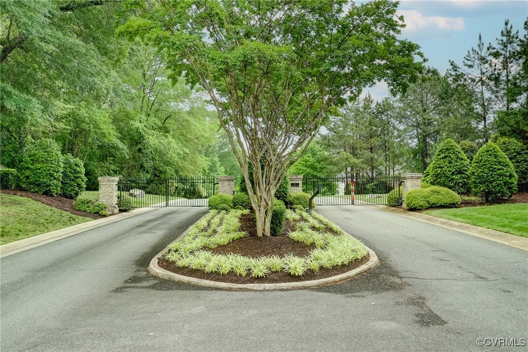 141 Honey Locust