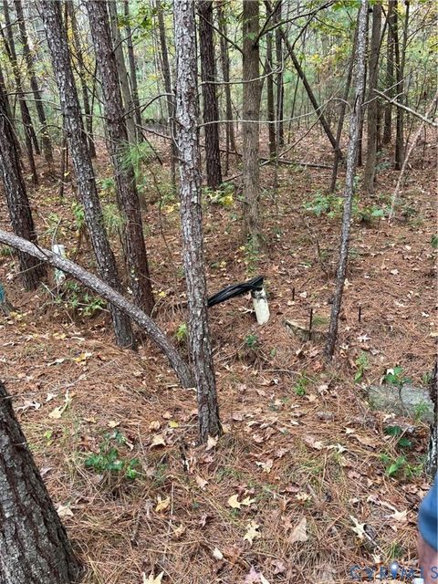 Tiny photo for 10565 Continental Road, New Kent, VA 23141 (MLS # 2530041)