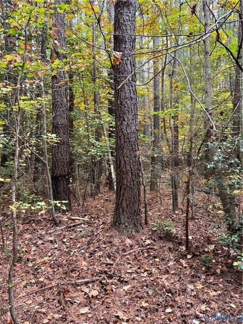 Tiny photo for 10565 Continental Road, New Kent, VA 23141 (MLS # 2530041)