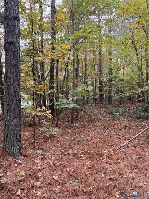 Tiny photo for 10565 Continental Road, New Kent, VA 23141 (MLS # 2530041)