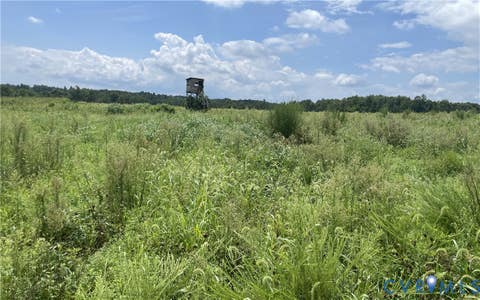 Tiny photo for 175 AC Tomlinson Road RD, Victoria, VA 23974 (MLS # 2622553)