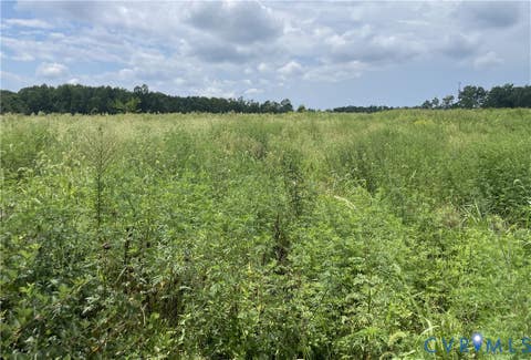 Tiny photo for 175 AC Tomlinson Road RD, Victoria, VA 23974 (MLS # 2622553)