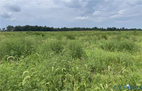 Tiny photo for 175 AC Tomlinson Road RD, Victoria, VA 23974 (MLS # 2622553)