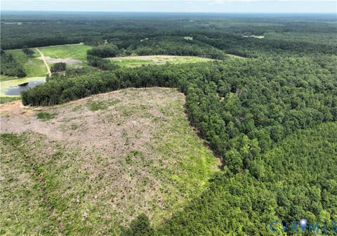 Tiny photo for 175 AC Tomlinson Road RD, Victoria, VA 23974 (MLS # 2622553)