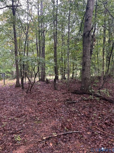 Photo of 141 Kozy Lane, Buckingham, VA 23921 (MLS # 2527626)