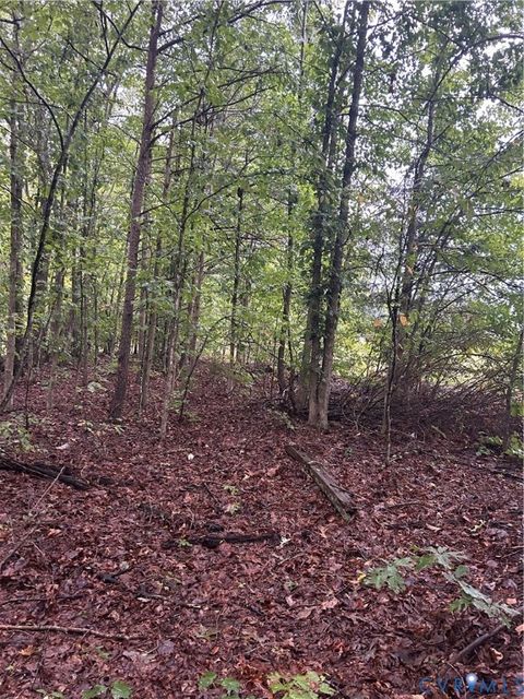 Tiny photo for 141 Kozy Lane, Buckingham, VA 23921 (MLS # 2527626)