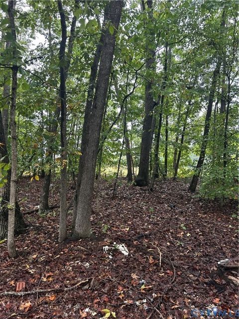 Tiny photo for 141 Kozy Lane, Buckingham, VA 23921 (MLS # 2527626)