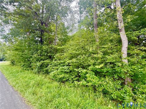 Tiny photo for Lot 1 Forest Chapel Rd RD, Pamplin, VA 23958 (MLS # 2618835)