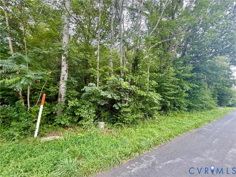 Tiny photo for Lot 1 Forest Chapel Rd RD, Pamplin, VA 23958 (MLS # 2618835)