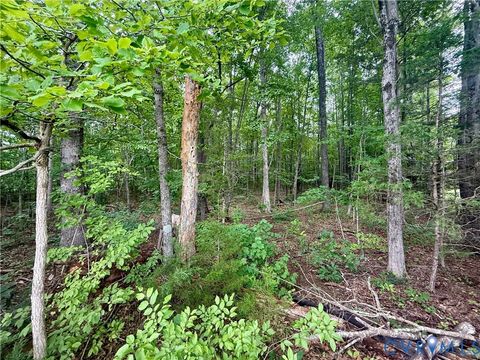Tiny photo for Lot 1 Forest Chapel Rd RD, Pamplin, VA 23958 (MLS # 2618835)