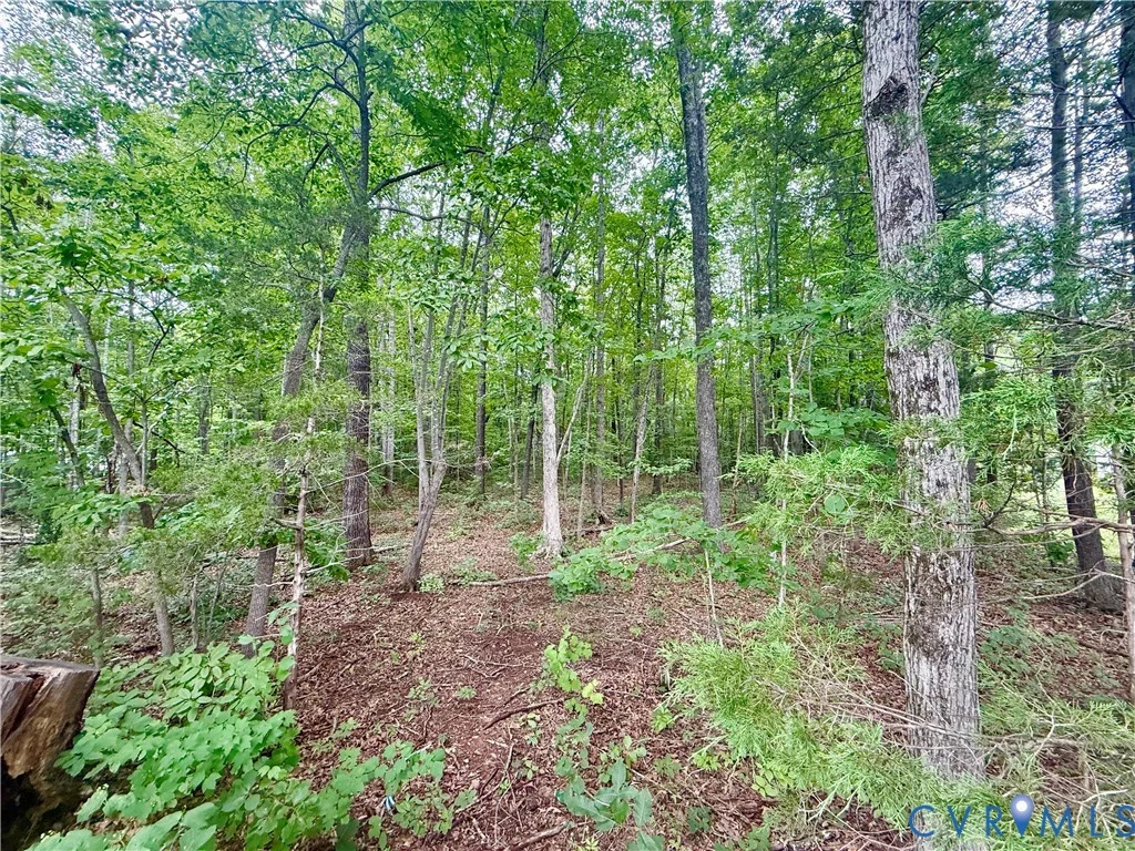 Lot 1 Forest Chapel Rd Rd, Pamplin, VA, 23958