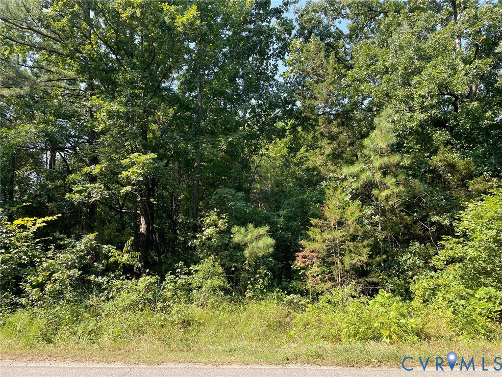 16081 Beaverdam School Road
