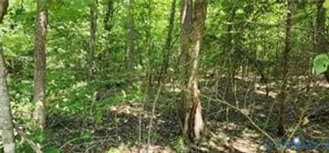 Tiny photo for 1370 Jasmine Road, Goochland, VA 23063 (MLS # 2525858)
