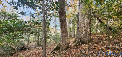 Tiny photo for 5031 Cromarty Road, Powhatan, VA 23139 (MLS # 2603984)