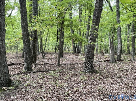 Tiny photo for 10.27 AC College Park Lane, Keysville, VA 23947 (MLS # 2626502)