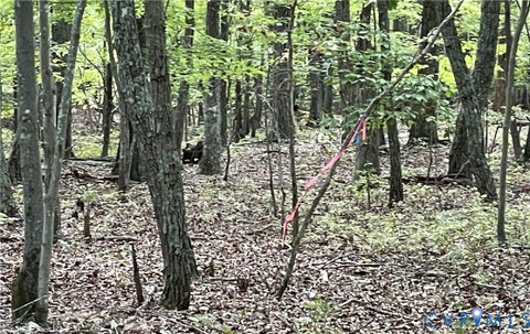 Tiny photo for 10.27 AC College Park Lane, Keysville, VA 23947 (MLS # 2626502)
