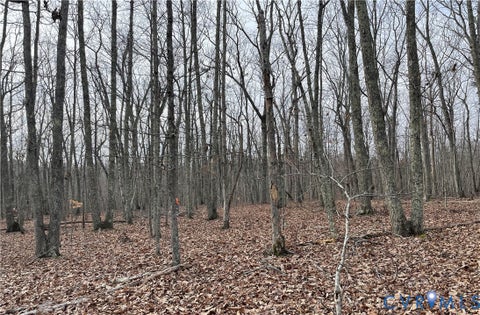 Tiny photo for 10.27 AC College Park Lane, Keysville, VA 23947 (MLS # 2626502)