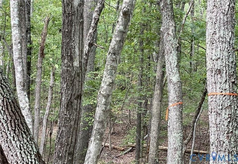 Tiny photo for 10.27 AC College Park Lane, Keysville, VA 23947 (MLS # 2626502)