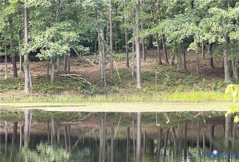 Tiny photo for 10.27 AC College Park Lane, Keysville, VA 23947 (MLS # 2626502)