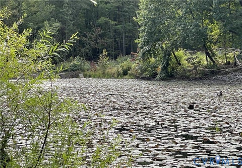 Tiny photo for 10.27 AC College Park Lane, Keysville, VA 23947 (MLS # 2626502)