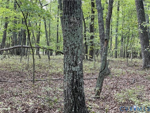 Tiny photo for 10.27 AC College Park Lane, Keysville, VA 23947 (MLS # 2626502)