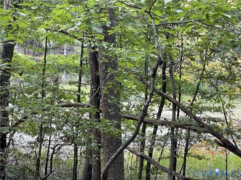Tiny photo for 10.27 AC College Park Lane, Keysville, VA 23947 (MLS # 2626502)