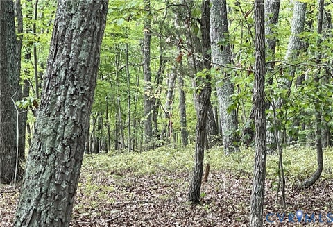Tiny photo for 10.27 AC College Park Lane, Keysville, VA 23947 (MLS # 2626502)