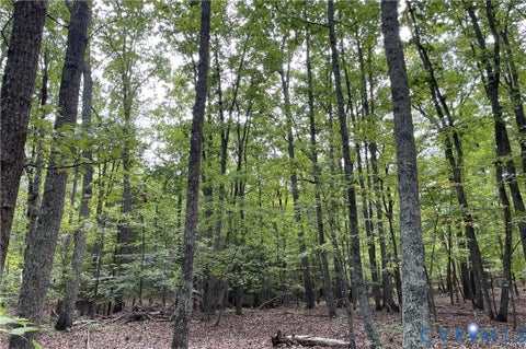 Tiny photo for 10.27 AC College Park Lane, Keysville, VA 23947 (MLS # 2626502)